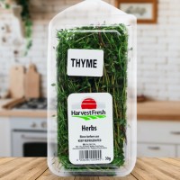 herbs thyme