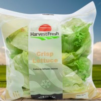 crisp lettuce