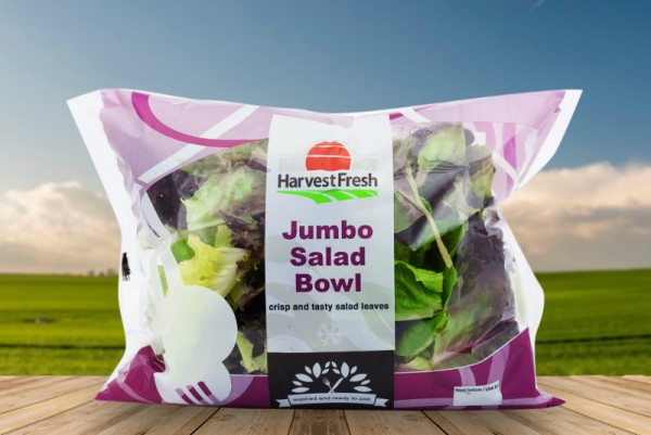 pillow jumbo salad bowl