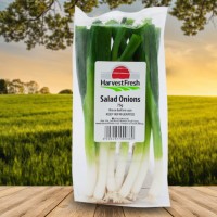 salad onions